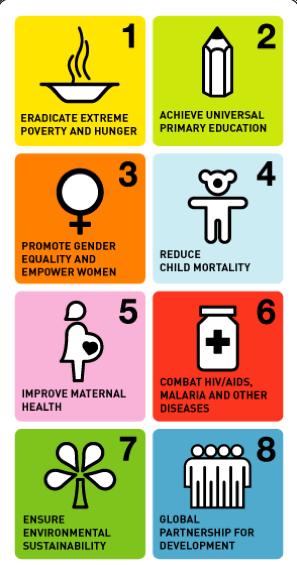 Millennium Development Goals